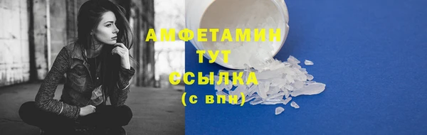 стаф Янаул
