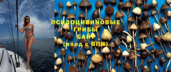 амф Переславль-Залесский