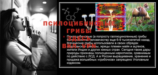 мескалин Яранск