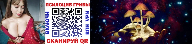 Псилоцибиновые грибы Psilocybe  Полтавская 